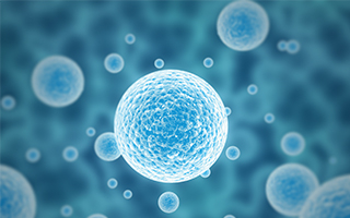 stem cell research in Nebraska