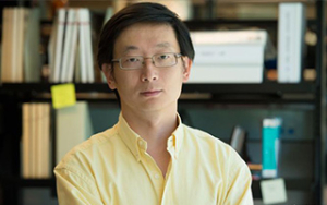 Sheng Ding, a senior investigator at the Gladstone Institutes
